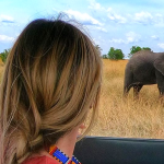 How to Plan an Affordable-ish Kenya Safari