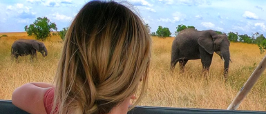 How to Plan an Affordable-ish Kenya Safari