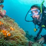 How to Plan a Trip to The Great Barrier Reef