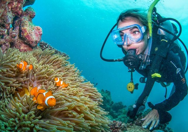 How to Plan a Trip to The Great Barrier Reef