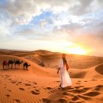 Sahara Desert Morocco sunset camels