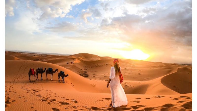 Sahara Desert Morocco sunset camels