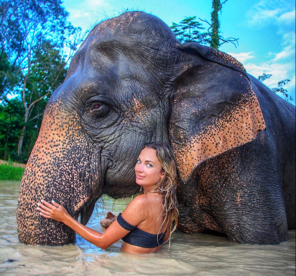 chiang mai ethical elephant sanctuary mylifesamovie.com