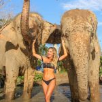 chiang mai ethical elephant sanctuary mylifesamovie.com