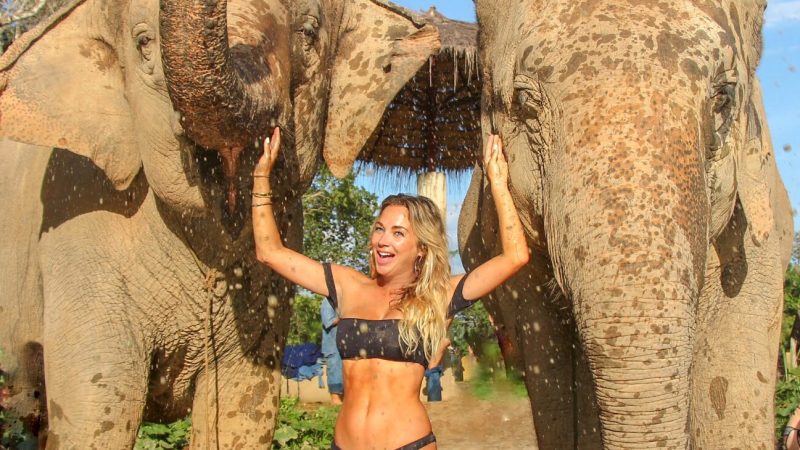 chiang mai ethical elephant sanctuary mylifesamovie.com