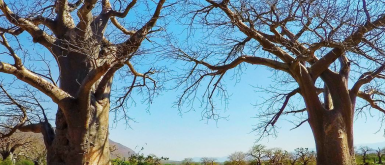 Top Money Saving Tips For Traveling