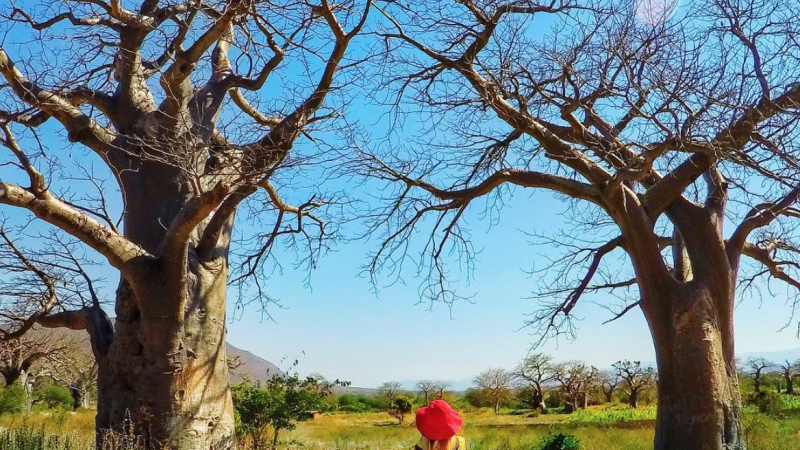 Top Money Saving Tips For Traveling