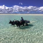 madagascar mikea best beaches mylifesamovie.com