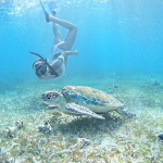 5 Endangered Species That Are Bouncing Back Thanks To Ecotourism