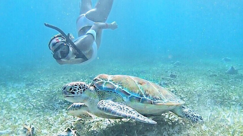 5 Endangered Species That Are Bouncing Back Thanks To Ecotourism