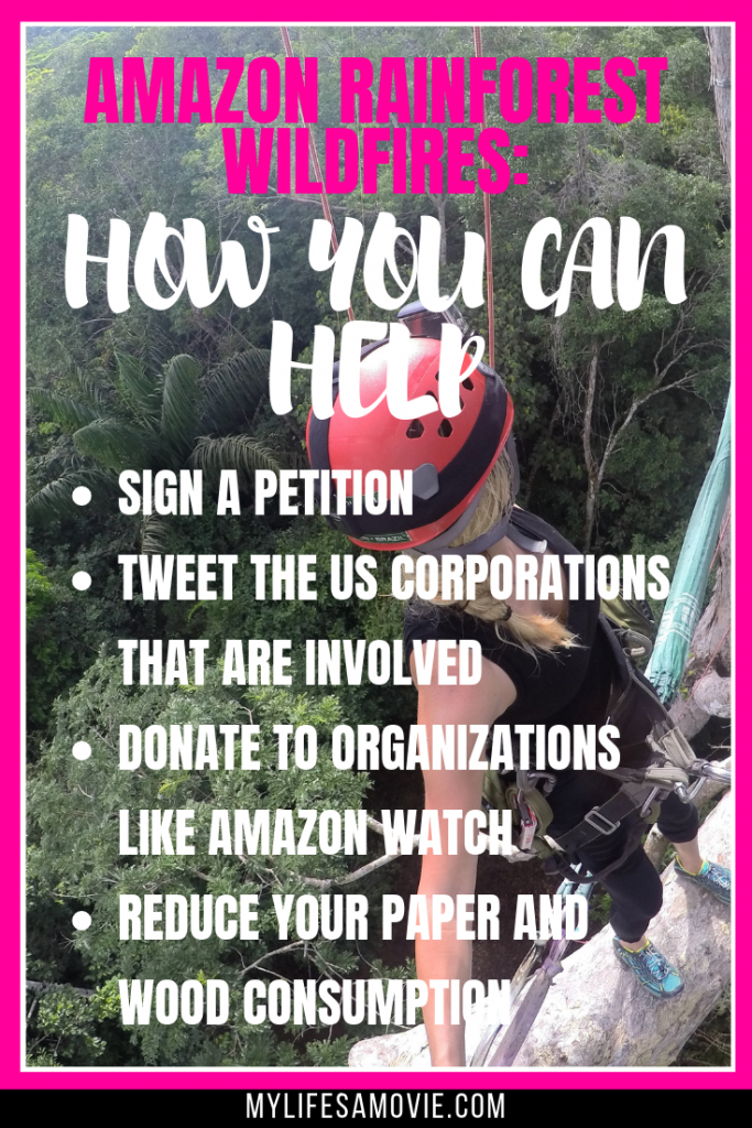 Amazon Rainforest fires are out of control and there's little we can physically do to help, but there ARE actionable ways we can help. Here are all the facts you need to know about what's starting the fires and how you can help the Amazon Rainforest fires.    #amazonrainforest #amazonfires