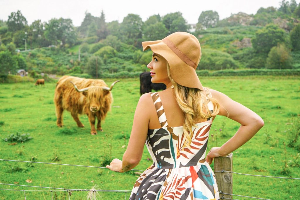 best things to see in scotland highland cows inverness