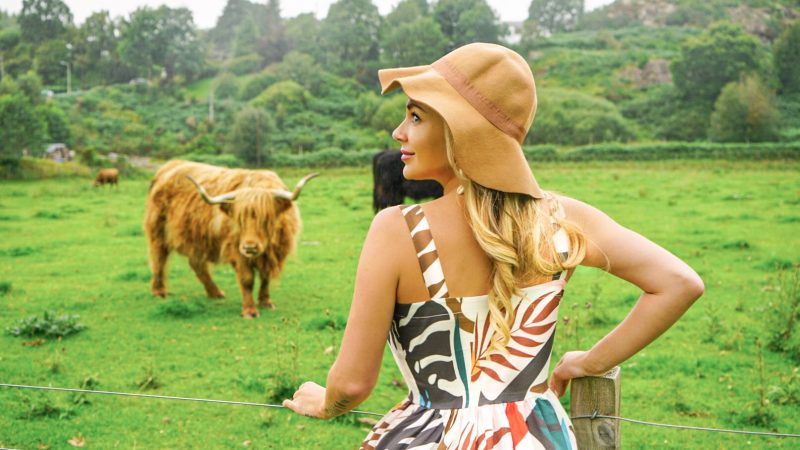 best things to see in scotland highland cows inverness