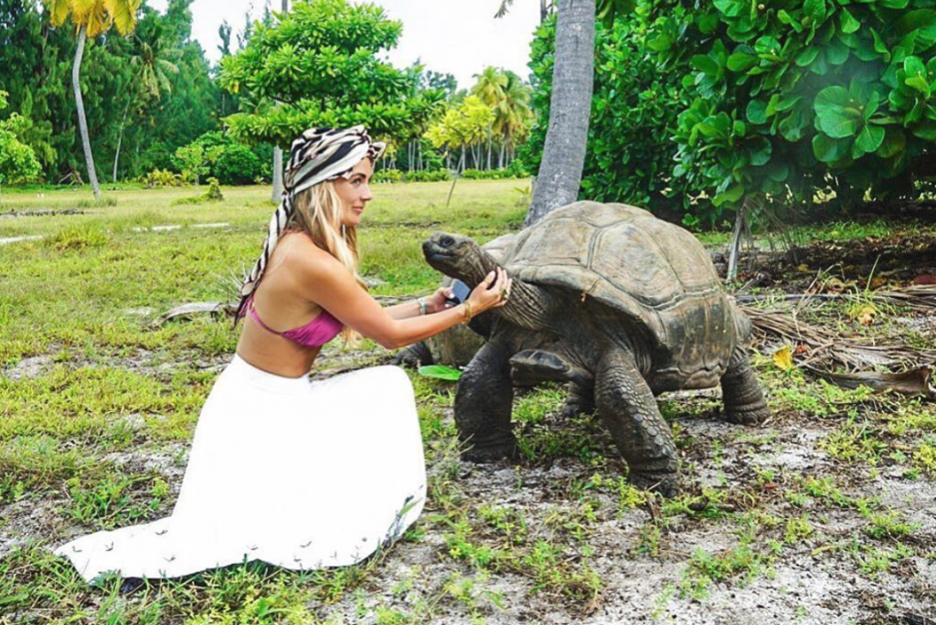 giant tortoise on desroches island seychelles