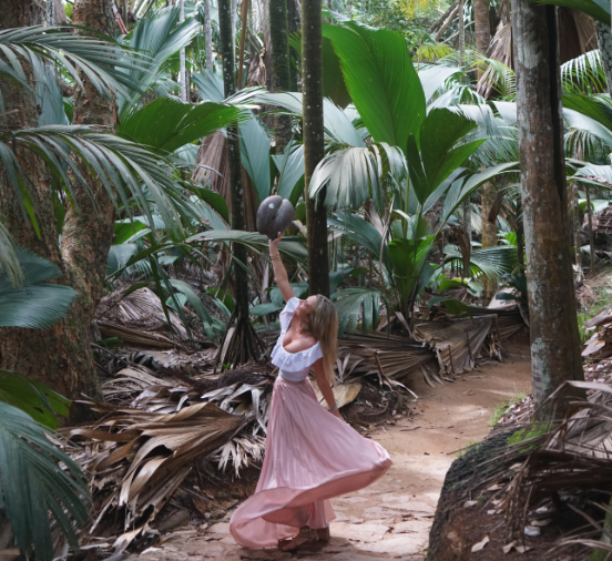 coco de mer seychelles travel guide mylifesamovie.com