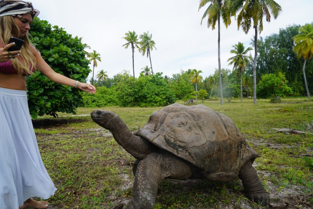 desroches island seychelles travel guide mylifesamovie.com
