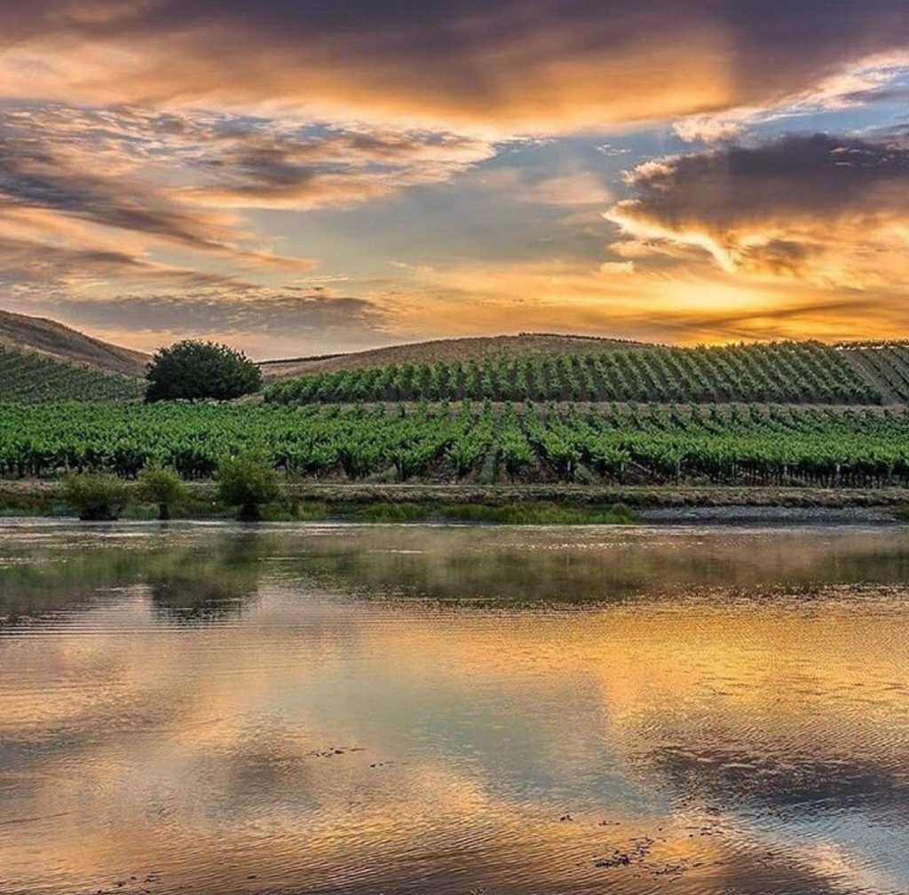 MYLIFESAMOVIE.COM - 10 Best Solo Travel Destinations For Fall In 2019 - Sonoma