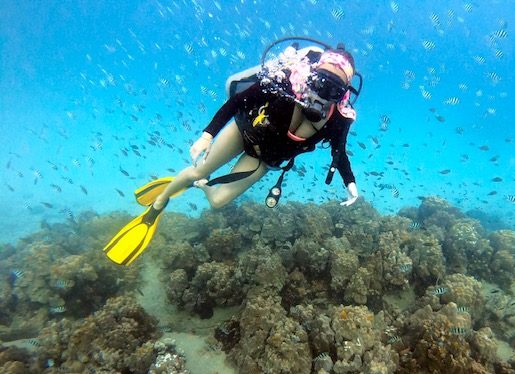 best thailand islands koh tao diving