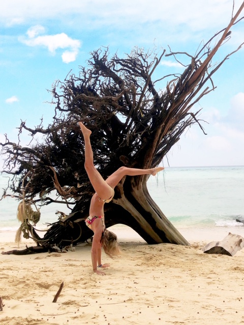 bamboo island phi phi islands mylifesamovie.com