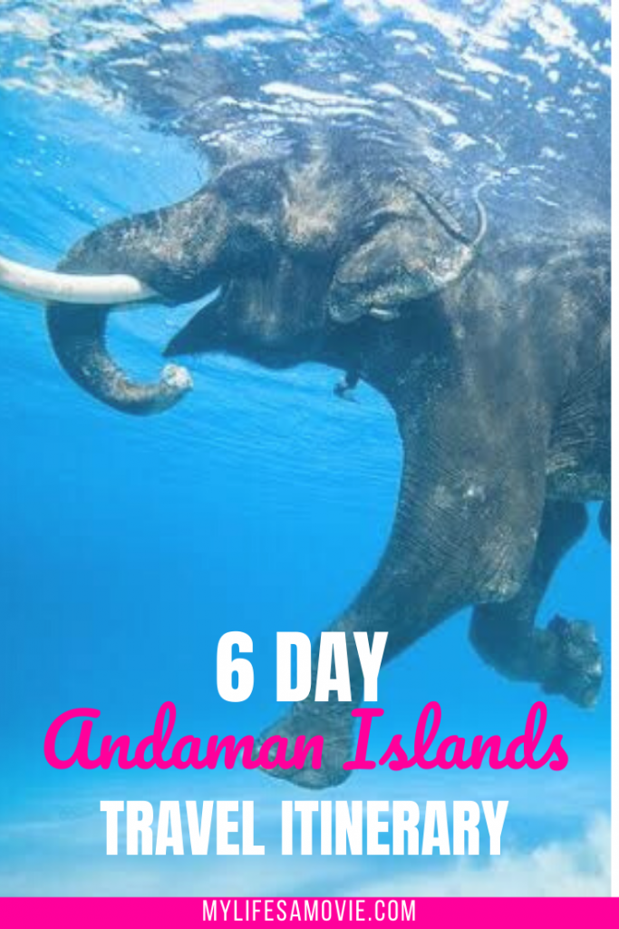 Dreaming of exploring the Andaman Islands? Check out this 6 day Andaman Islands travel itinerary that takes you to all the best islands there are to see! Includes Port Blair, Havelock Island, Neil Island, and a day trip to Ross Island! A tour is highly recommended if you plan to solo travel! Don't forget you'll need a visa for India! Also, sad to say but the swimming elephant of Andaman Islands is no longer there!      #traveltips #traveldestinations #travelideas #besttravel #solotravel #andamanislands