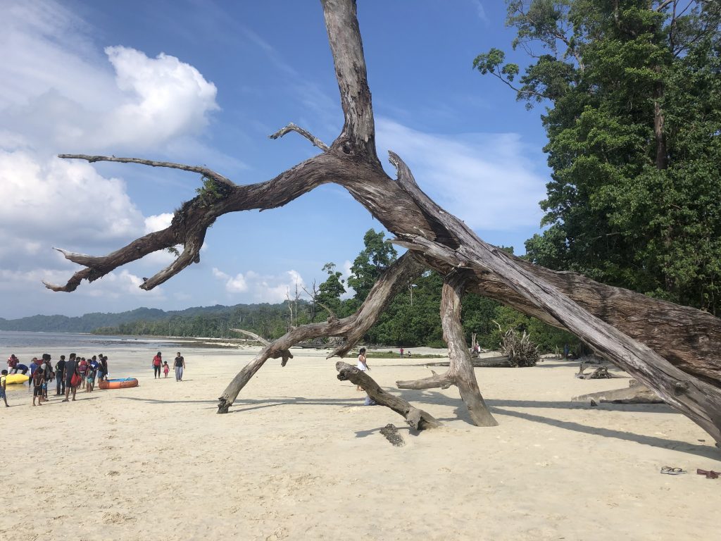 Elephant Beach Andaman Islands