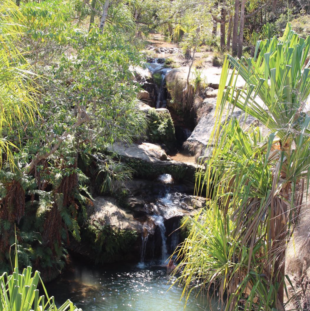 MYLIFESAMOVIE.COM - 15 Stunning Natural Pools Worth Traveling For - Parc National de Isalo