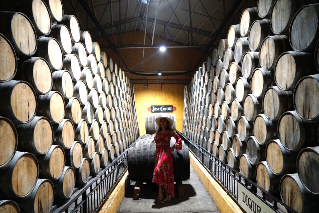 jose cuervo distillery