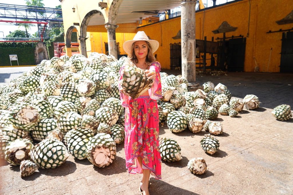la rojena distillery jose cuervo