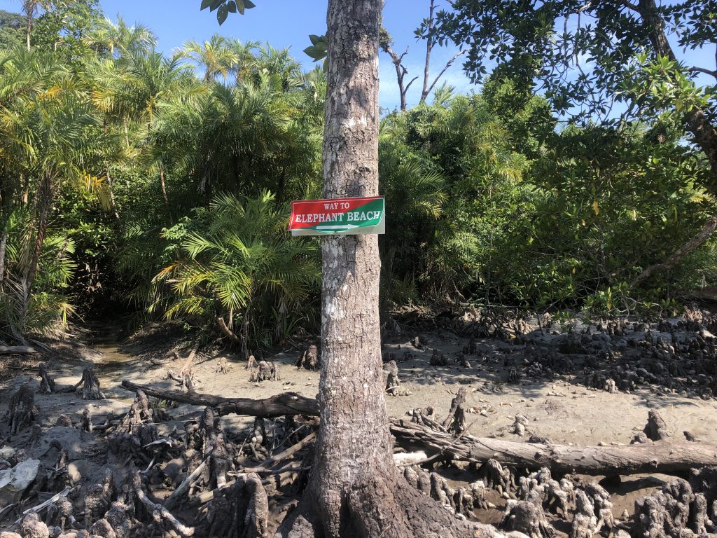 elephant beach hike