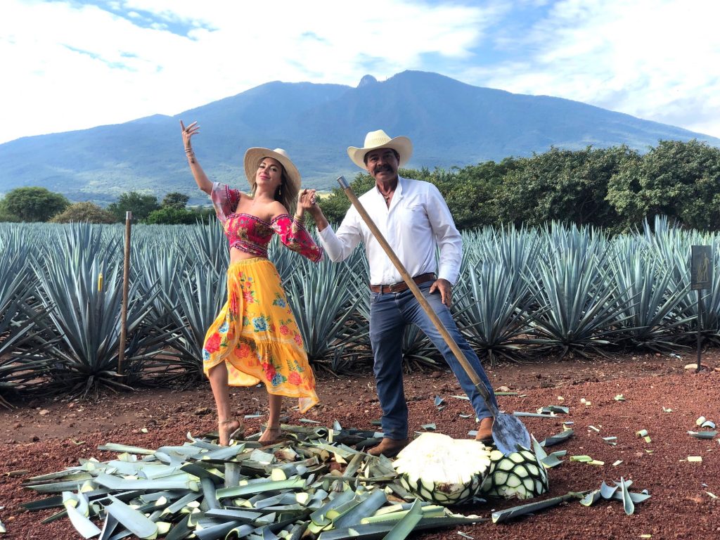 jimador agave field tequila mexico
