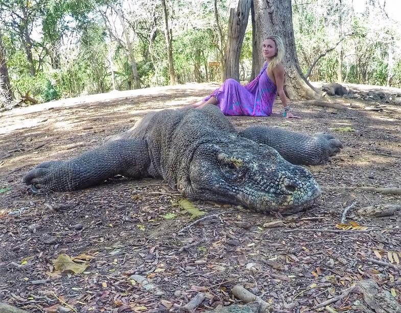 world's best islands komodo island