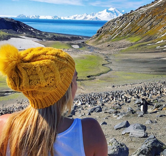 why is Antarctica turning green