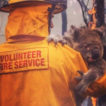 Australia Bushfires: Everything You Need To Know And How You Can Help