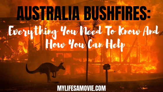 Australia Bushfires: Everything You Need To Know And How You Can Help