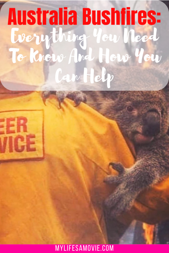 Australia Bushfires: Everything You Need To Know And How You Can Help
