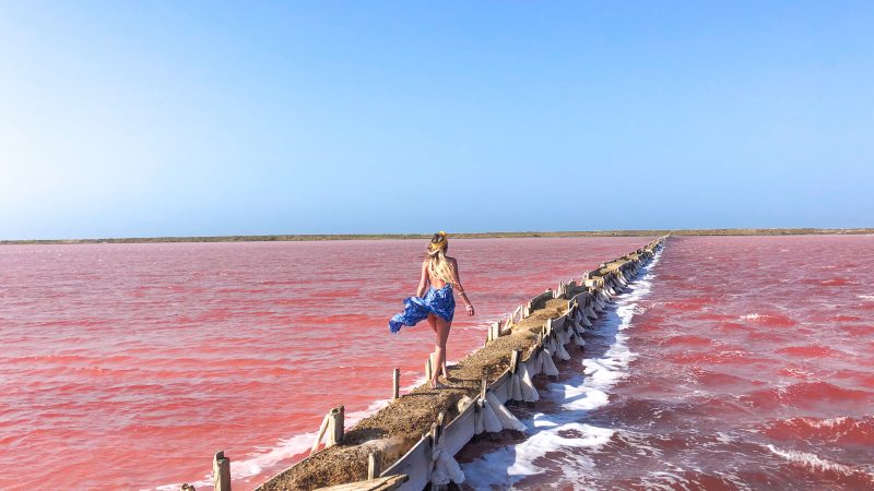 pink sea salinas de galerazamba cartagena