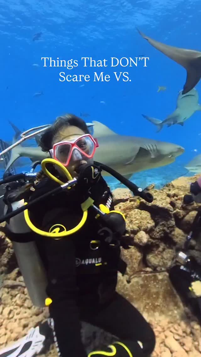 Plz lmk if anyone can relate… I am severely scared of: 
1. Getting stuck in an elevator
2. Bathrooms with no openings and difficult locks 
3. Losing my passport, Running out of passport pages, not being able to travel
4. …..honestly a bit scared to travel to the US right now.

That’s about it! Here’s what I’m extremely NOT scared of, what about you?
1. Sharks 😻
2. Snakes, spiders, bugs etc (except mosquitos bc I’m allergic)
3. Traveling solo (145 countries and counting)
4. Not having a stable income/retirement/benefits/routine/etc

What’s something that doesn’t scare you that most people fear??

#sharklover #sharktober #fearless #fearlessfemale #solofemaletraveler #solotravel #solofemaletravel