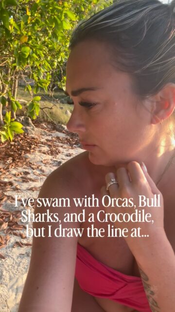 I’ve swam with Orcas, a crocodile, and my for-fun hobby is shark diving, but I draw the line at poisonous swimming snakes. 🙅‍♀️🐍 It really just came up to me like that when I was sitting on the beach on an island in New Caledonia! 

I had been contemplating going swimming with the turtles nearby, but changed my mind after I saw this!

This was a “Blake-banded Sea Krait”, common to this area in the South Pacific Islands, I’ve heard several divers say they’ve seen them! But no thanks, I prefer sharks. 😂

Animal safety tip: as an experienced animal encounteress, i never ever suggest provoking or trying to “fight off” any dangerous animal that isn’t actively trying to attack you. Stay calm and still and let it pass like I did in this video. Then, feel free to run. (Jk I’d still suggest carefully and slowly backing a way, keeping an eye on it).

What would you do if you saw a swimming snake?!

——————

For anyone new here: Hi! I’m Alyssa Ramos of @mylifesatravelmovie - one of the very first travel “influencers” and now one of the most traveled and most experienced solo travel women in the world! I’ve been to 146 countries so far over 12 years, and love rare destinations and animals! My goal is to inspire you to travel off the typical path and to shatter negative stereotypes about “dangerous” destinations (and animals). Follow me for expert tips and inspiration!