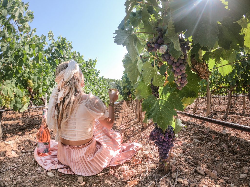 Whispering Angel winery esclans mylifesamovie.com