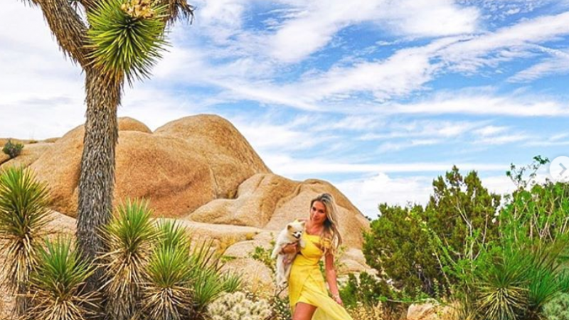 The funny looking Joshua Trees in Joshua Tree National Park!