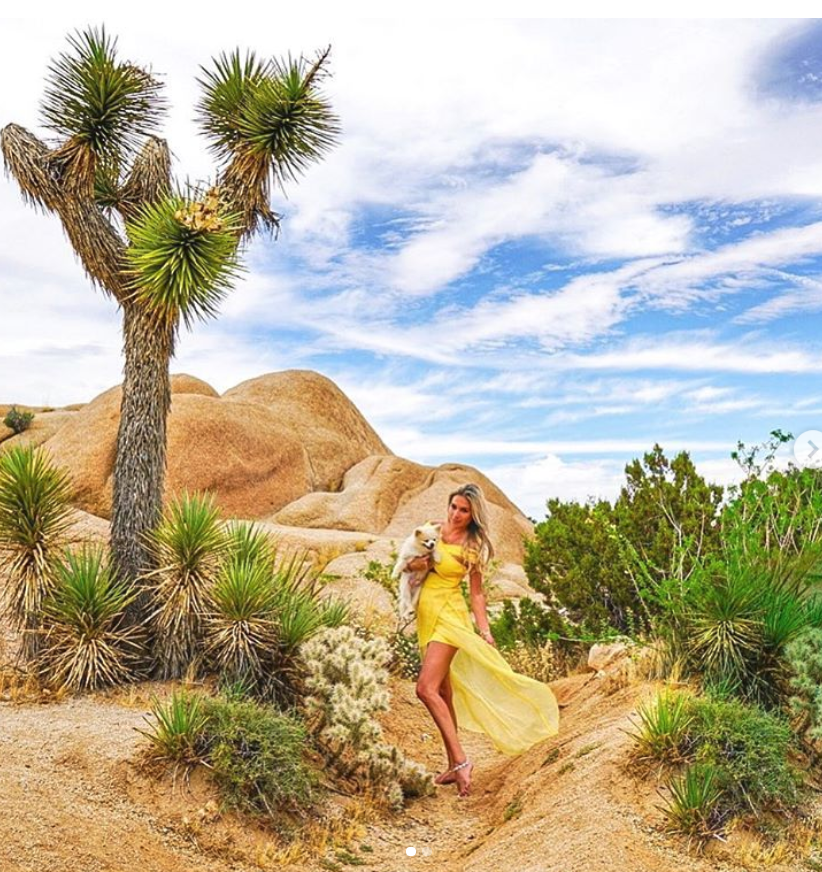 The funny looking Joshua Trees in Joshua Tree National Park!
