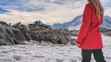 last minute deals to antarctica