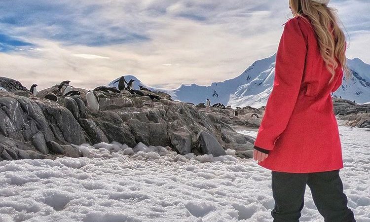 last minute deals to antarctica