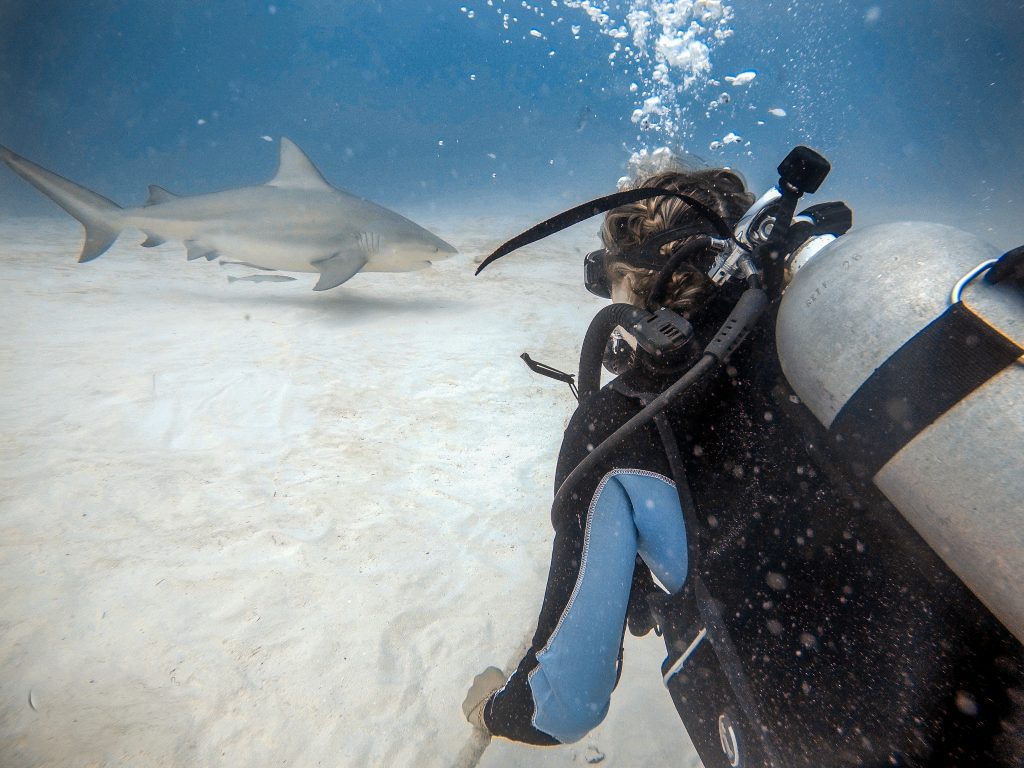 scuba diving tips for beginners