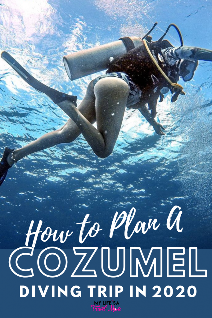 Cozumel, Mexico is MUCH more than a tourist cruise ship destination! It's actually known as a "diver's island" because of the clear waters, many reefs, sea life, and ship wrecks! Here's everything you need to know to plan a Cozumel Diving Trip in 2020!