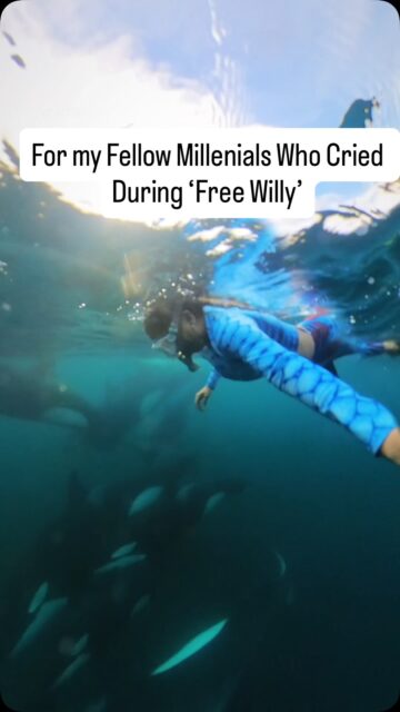 Anyone else here grow up watching Free Willy and cried every time? Wait till you see Orcas in real life! 🥹

BTW it’s World Orca Day!!! Yay!!! Share this with a friend who also loves Orcas and Free Willy!!

A trip to Mexico to do a Sea Safari where you can potentially see Orcas is likely cheaper than a trip to seaworld to see them in captivity. The choice is yours! (Plz don’t support captivity)

All of the info to do this Sea Safari is on my website mylifesamovie.com — full disclaimer that there are no specific “orca tours” because they are highly unpredictable! And all trips must follow local regulations and rules! 

After 12 years of continuous travel to over 140 countries, I have to say that this is one of my top memorable moments!