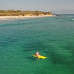 la pancha surf