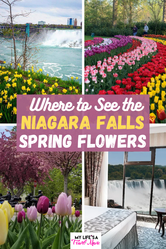 Did you know there are massive Niagara Falls spring super blooms? Each year the glorious waterfall is surrounded by tulips and daffodils! Book your trip now because space is already becoming limited for Niagara Falls super blooms in 2021!

#niagarafalls #springtravel #springbreak #superbloom