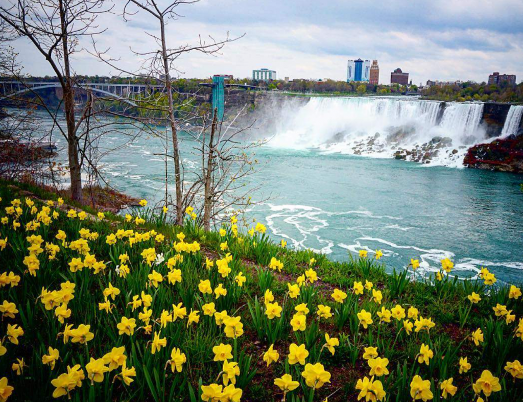 Niagara Falls spring super blooms