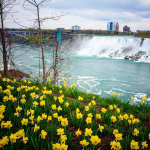niagara falls spring super blooms